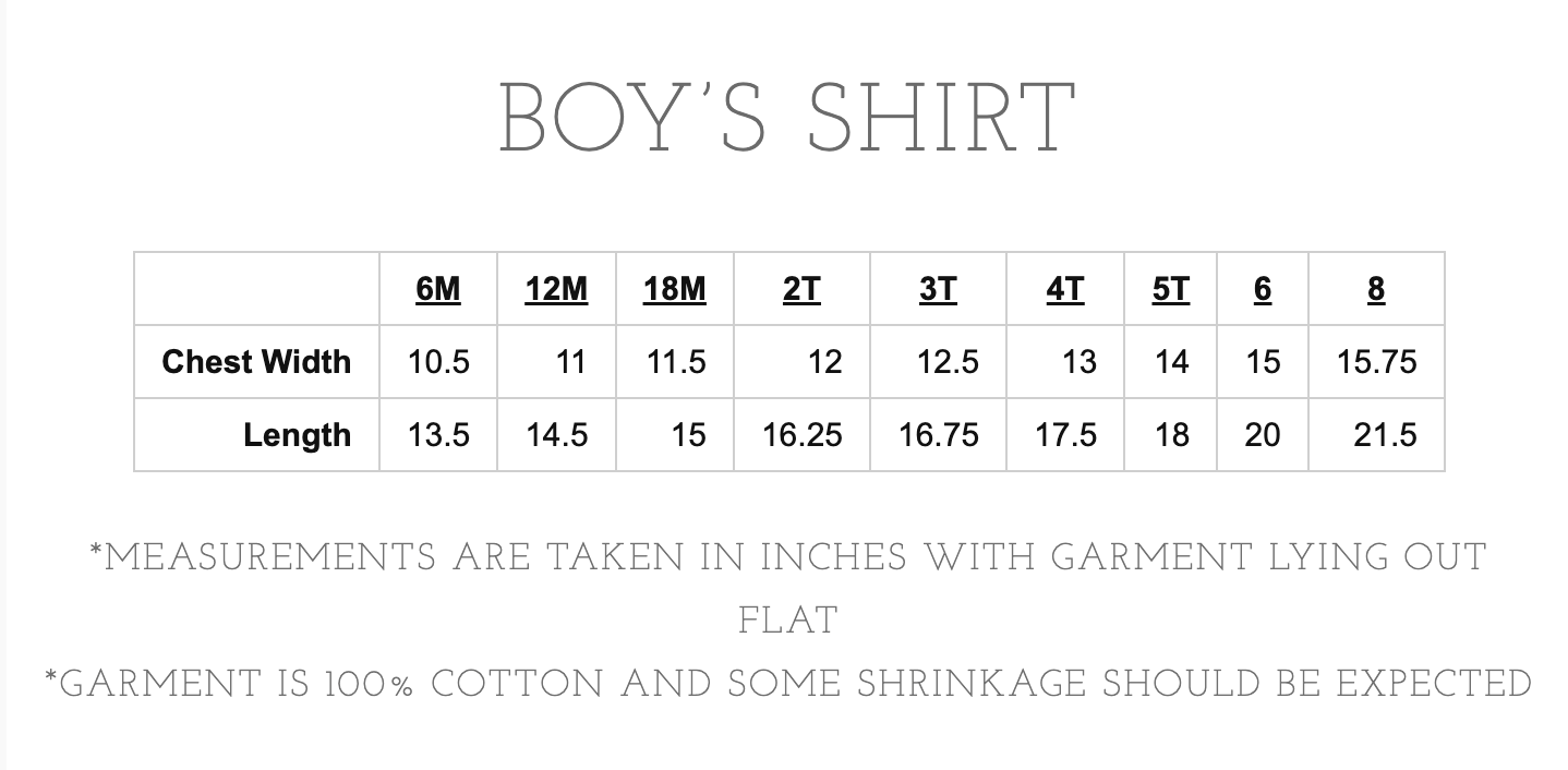 Boy's Striped Apple Polo