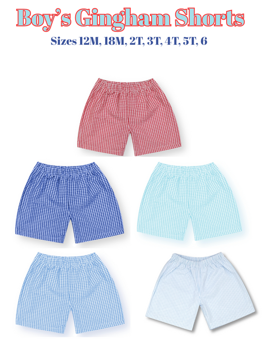 Boy's Gingham Shorts